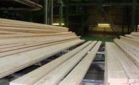 俄罗斯烘干板材樟子松 建筑建材领域的优选材料与全球采购指南